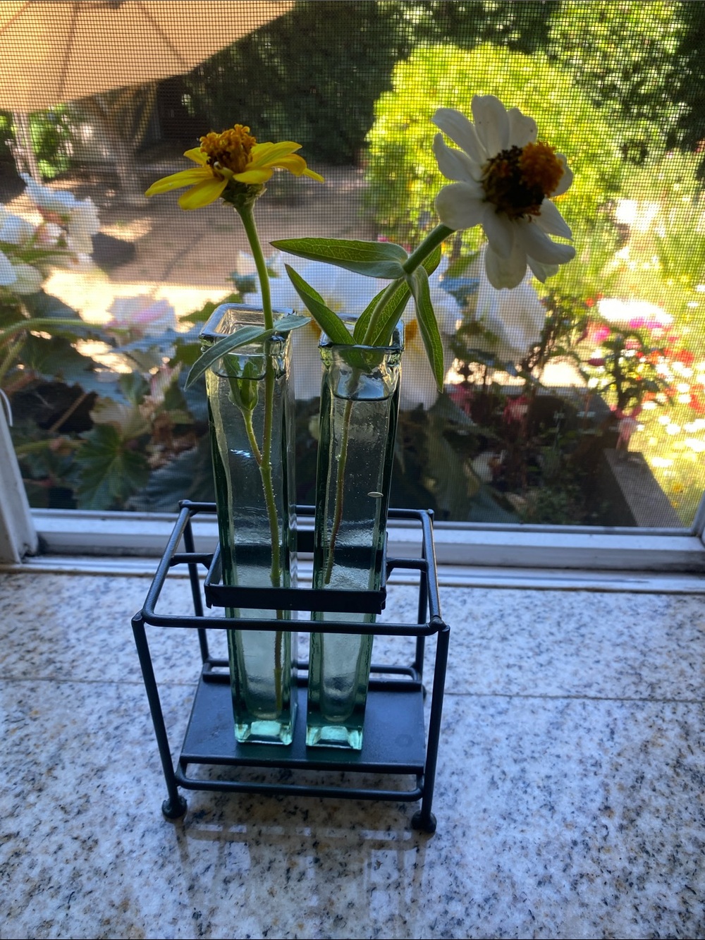 Decorative Glass Bud Vase Set with Black Metal Holder - industrial modern